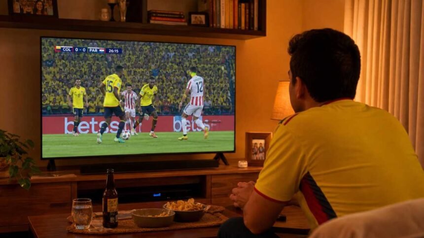 hincha vinedo futbol