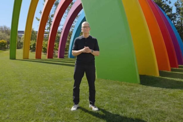 Tim Cook ex SEO de Apple