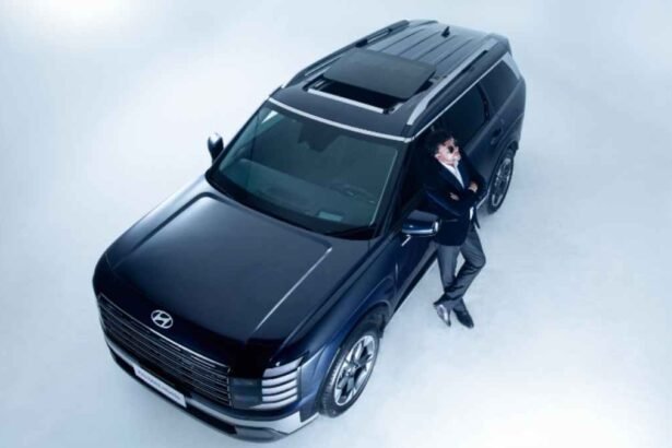 Hyundai Andrés Cepeda y Palisade