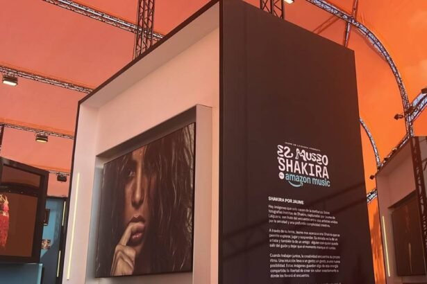 La firma colombiana Blend360 hizo parte de la infraestructura de Macondo Park de Shakira